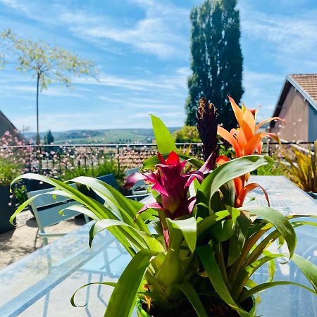 Villa Kundalini - Guest House Vincelles  ภายนอก รูปภาพ
